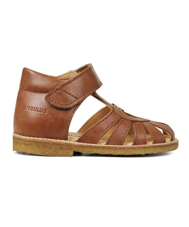 Angulus Starter Sandal Velcro Closure Cognac