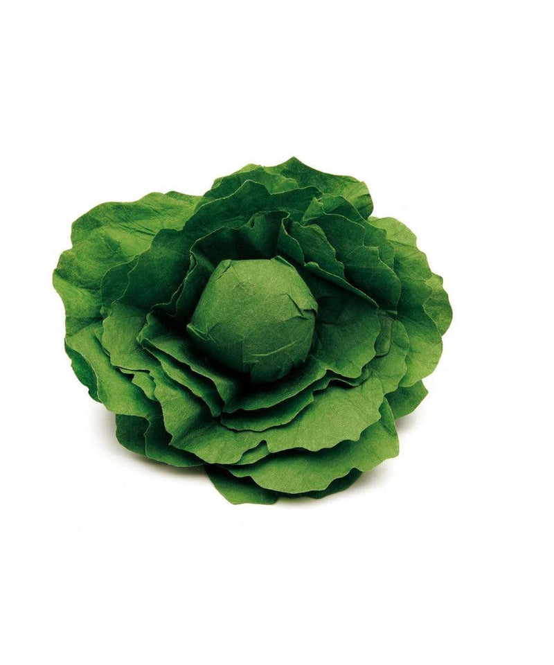 Erzi Lettuce