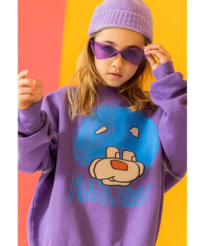 Fresh Dinosaurs Amazing Sweatshirt