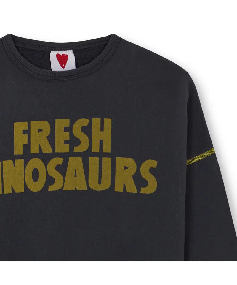 Fresh Dinosaurs Fresh Dinosaurs Sweatshirt