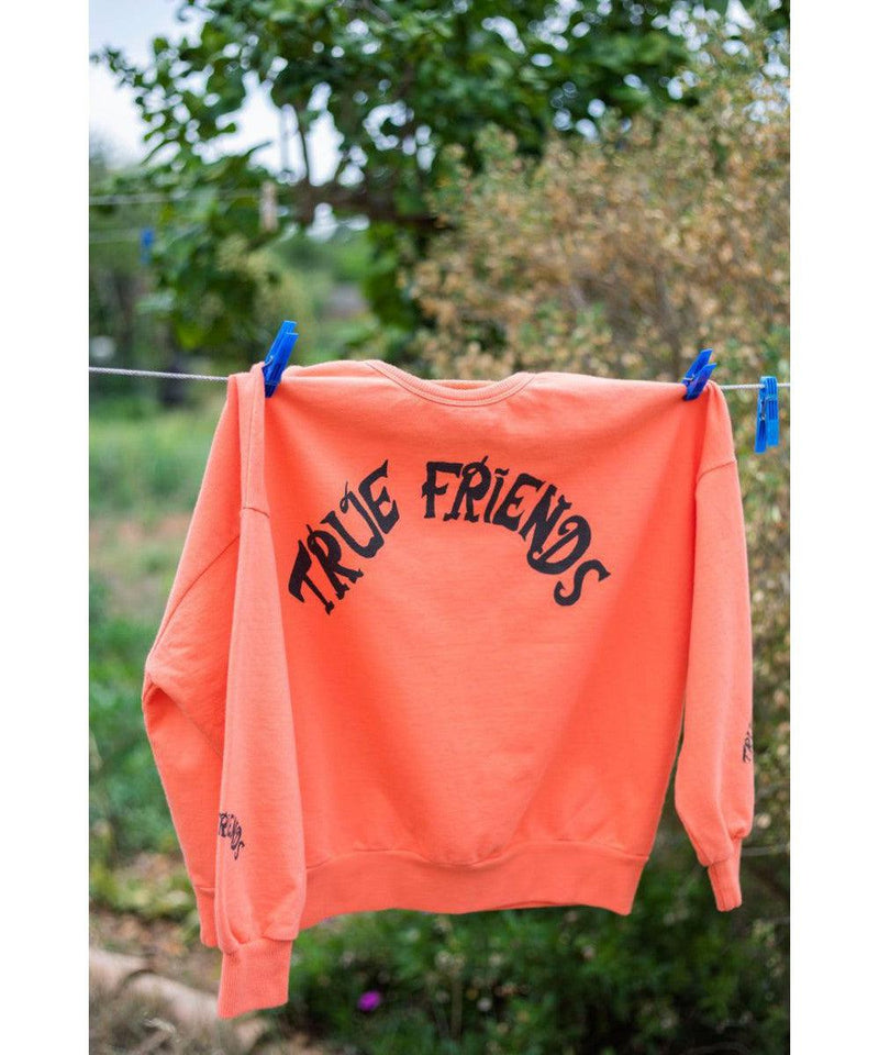 Fresh Dinosaurs True Friends Sweatshirt