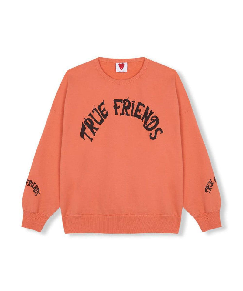 Fresh Dinosaurs True Friends Sweatshirt