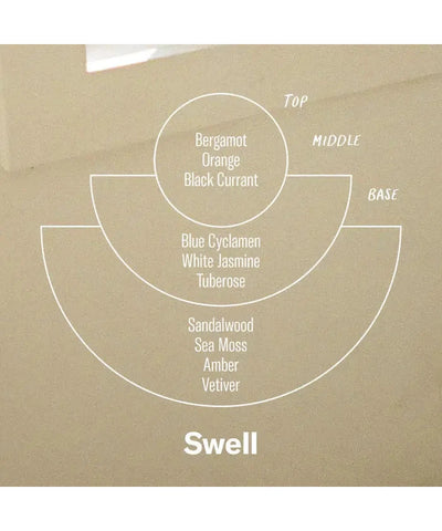 P.F. Candle Co Wierook Kegeltjes Swell