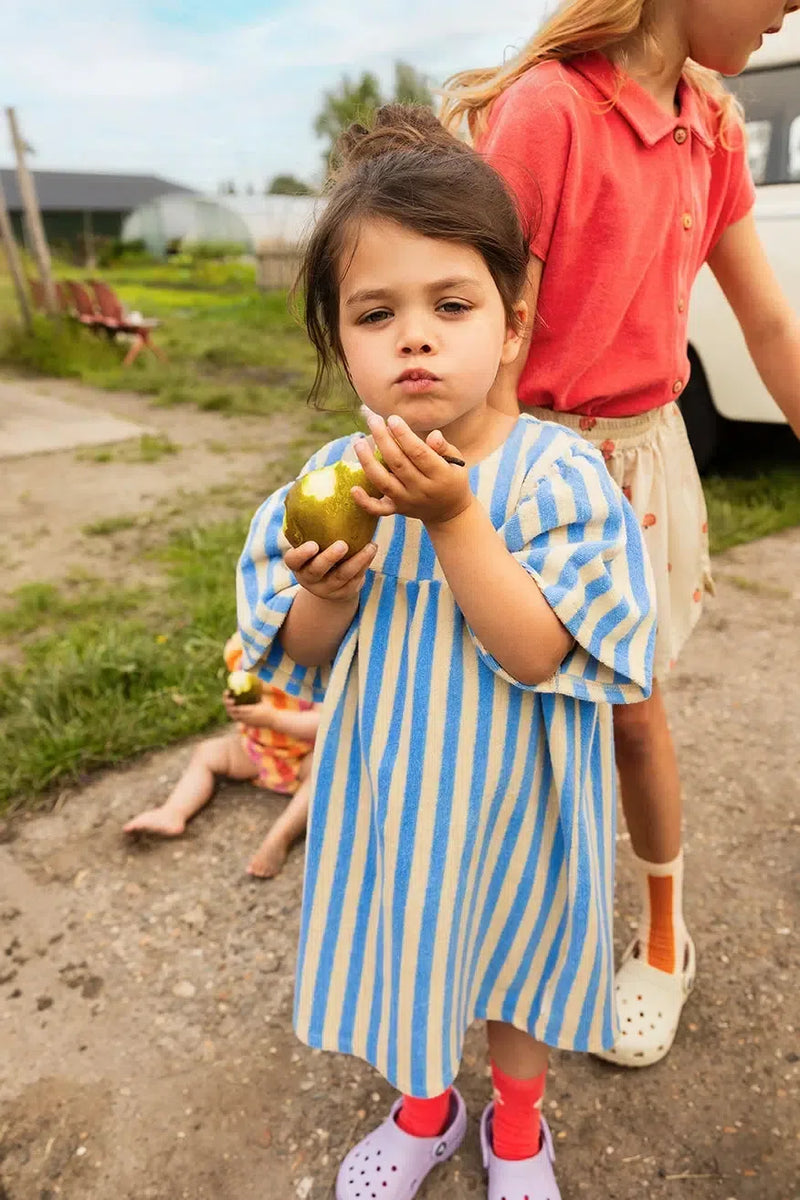 Sproet & Sprout Poppy Dress Stripes