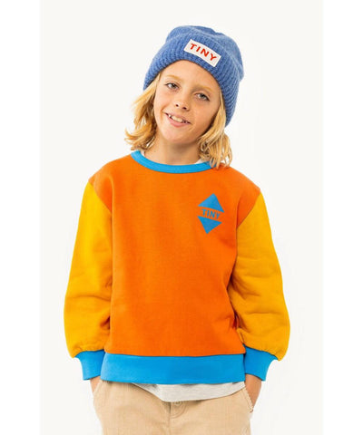 Tiny Cottons Color Block Sweatshirt brick/deep yellow