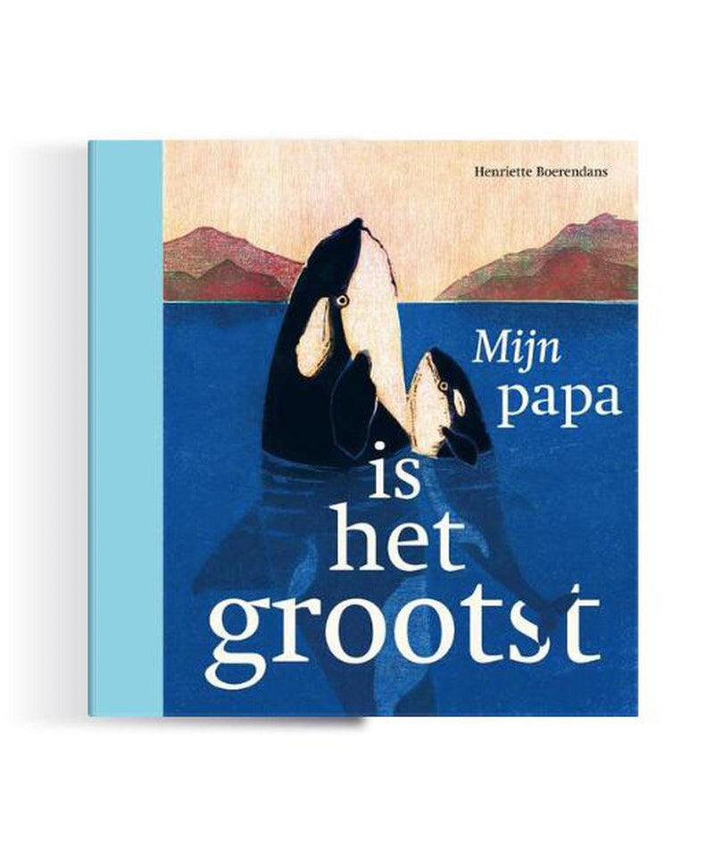 Boek: Mijn papa is het grootst